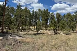 2215 Fox Acres Dr E, Red Feather Lakes, CO 80545 - Photo 17