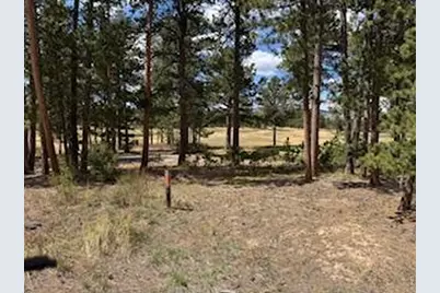 2215 Fox Acres Dr E, Red Feather Lakes, CO 80545 - Photo 19