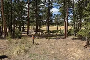 2215 Fox Acres Dr E, Red Feather Lakes, CO 80545 - Photo 19