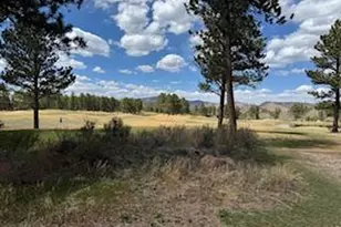 2215 Fox Acres Dr E, Red Feather Lakes, CO 80545 - Photo 15