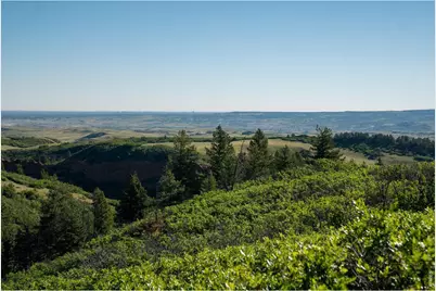 3255 N Rampart Range Rd, Littleton, CO 80125 - Photo 25