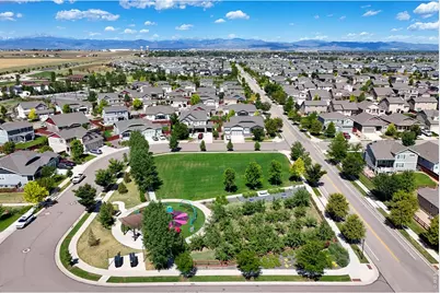 2134 Day Spring Dr, Windsor, CO 80550 - Photo 49