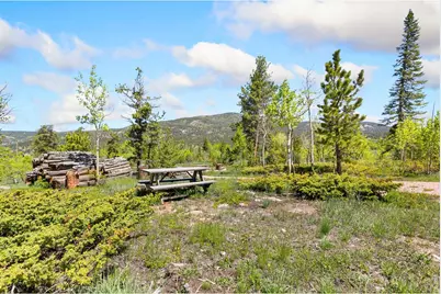 5449 N County Road 73C, Red Feather Lakes, CO 80545 - Photo 11