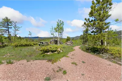 5449 N County Road 73C, Red Feather Lakes, CO 80545 - Photo 7