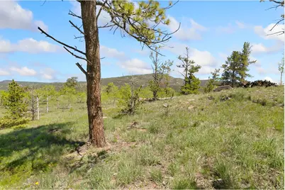 5449 N County Road 73C, Red Feather Lakes, CO 80545 - Photo 23