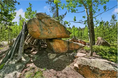 5481 N County Road 73C, Red Feather Lakes, CO 80545 - Photo 23