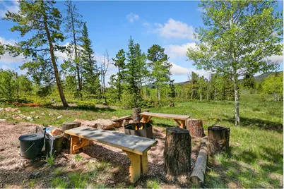 5481 N County Road 73C, Red Feather Lakes, CO 80545 - Photo 15