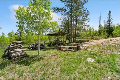5481 N County Road 73C, Red Feather Lakes, CO 80545 - Photo 13
