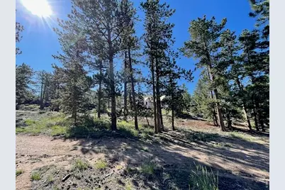 3086 Fox Acres Dr E, Red Feather Lakes, CO 80545 - Photo 9