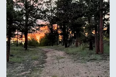 3086 Fox Acres Dr E, Red Feather Lakes, CO 80545 - Photo 15
