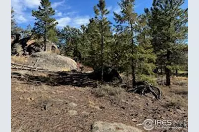 2921 Fox Acres Dr E, Red Feather Lakes, CO 80545 - Photo 17