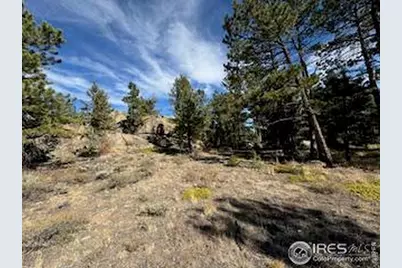 2921 Fox Acres Dr E, Red Feather Lakes, CO 80545 - Photo 9