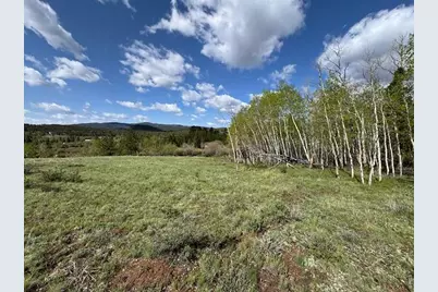 137 Cimarron Rd, Red Feather Lakes, CO 80545 - Photo 15