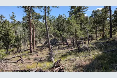 0 Old Camp Rd, Bellvue, CO 80512 - Photo 39