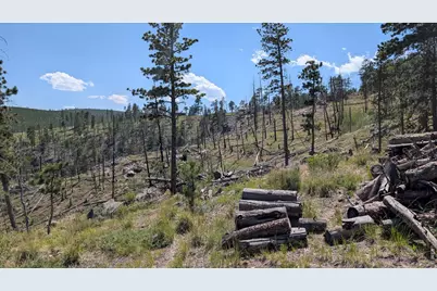 0 Old Camp Rd, Bellvue, CO 80512 - Photo 7