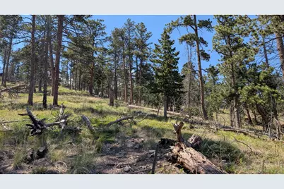 0 Old Camp Rd, Bellvue, CO 80512 - Photo 13