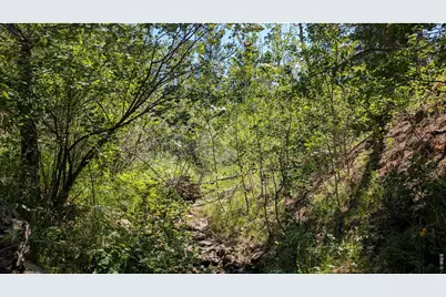 0 Old Camp Rd, Bellvue, CO 80512 - Photo 23