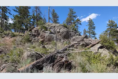0 Old Camp Rd, Bellvue, CO 80512 - Photo 27
