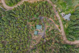 12191 Tecumseh Trail, Conifer, CO 80433 - Photo 43