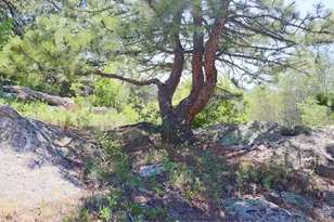 636 Ranch Rd, Ward, CO 80481 - Photo 21