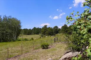 636 Ranch Rd, Ward, CO 80481 - Photo 17