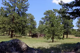 636 Ranch Rd, Ward, CO 80481 - Photo 23