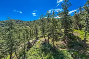 1108 Eagle Dr, Lyons, CO 80540 - Photo 37