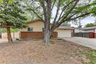 1027 Cottonwood Dr, Windsor, CO 80550 - Photo 3