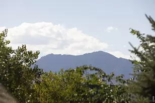 8003 Sagebrush Ct, Boulder, CO 80301 - Photo 33