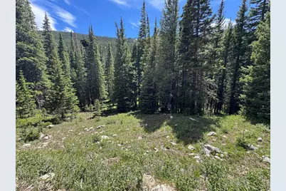 3894 Fourth Of July Rd, Nederland, CO 80466 - Photo 13