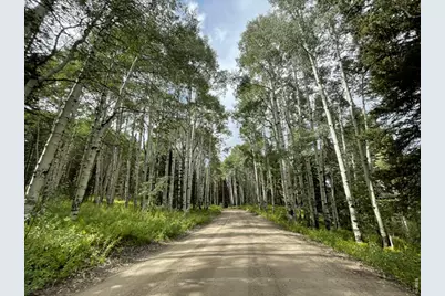 3894 Fourth Of July Rd, Nederland, CO 80466 - Photo 29