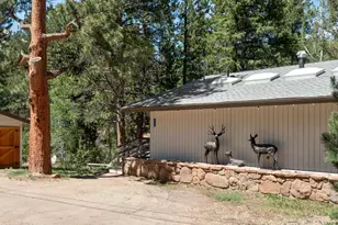 330 Fall River Ln, Estes Park, CO 80517 - Photo 39