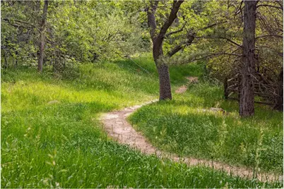 543 Linden Park Dr, Boulder, CO 80304 - Photo 37