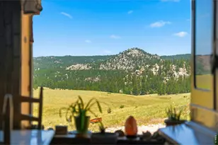 333 White Eagle Wy, Red Feather Lakes, CO 80545 - Photo 25