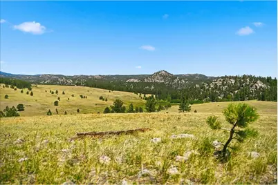 333 White Eagle Way, Red Feather Lakes, CO 80545 - Photo 27