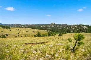 333 White Eagle Wy, Red Feather Lakes, CO 80545 - Photo 27