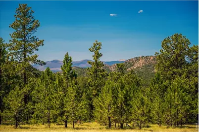 333 White Eagle Way, Red Feather Lakes, CO 80545 - Photo 29