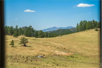 333 White Eagle Way, Red Feather Lakes, CO 80545 - Photo 35