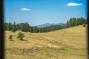 333 White Eagle Wy, Red Feather Lakes, CO 80545 - Photo 35