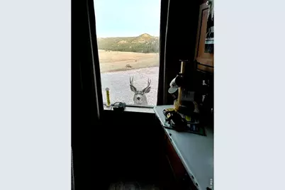 333 White Eagle Way, Red Feather Lakes, CO 80545 - Photo 39