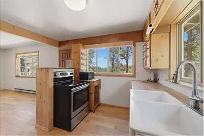 80 Shagwa Dr, Red Feather Lakes, CO 80545 - Photo 19