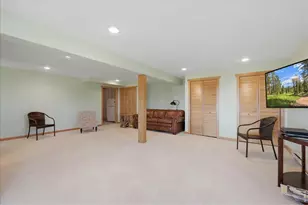 114 Bobcat Mountain Ct, Livermore, CO 80536 - Photo 19