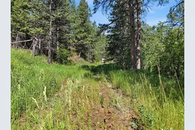 Spiritwood Ln, Bellvue, CO 80512 - Photo 9