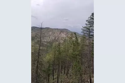 Spiritwood Ln, Bellvue, CO 80512 - Photo 41