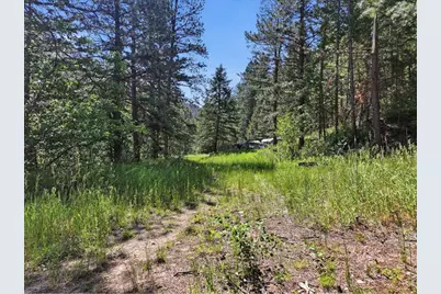 Spiritwood Ln, Bellvue, CO 80512 - Photo 7