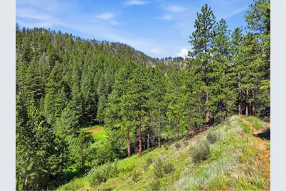 Spiritwood Ln, Bellvue, CO 80512 - Photo 29