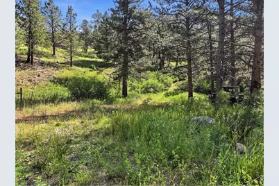 Spiritwood Ln, Bellvue, CO 80512 - Photo 15