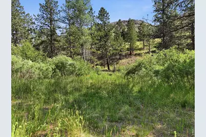 Spiritwood Ln, Bellvue, CO 80512 - Photo 13