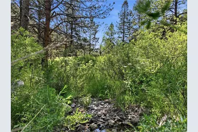 Spiritwood Ln, Bellvue, CO 80512 - Photo 17