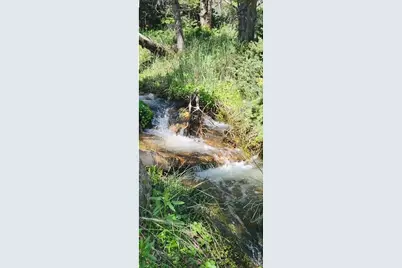 Spiritwood Ln, Bellvue, CO 80512 - Photo 35